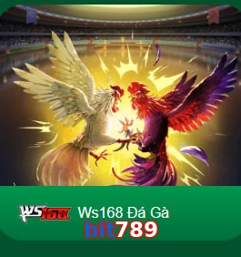 bit789